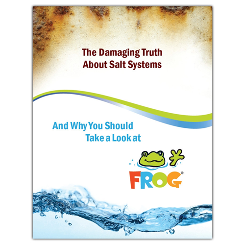 The Damaging Truth About Salt Brochure