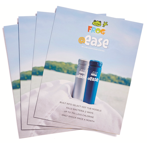 FROG @ease In-Line System Consumer Brochure